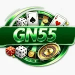 GN55 Game